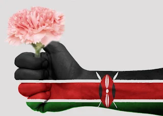After Roses Carnations are the most popular flower grown in Kenya