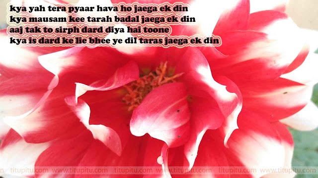 Dard-bhari-Shayari-in-hinid Dard-bhari-Shayari-in-hinid