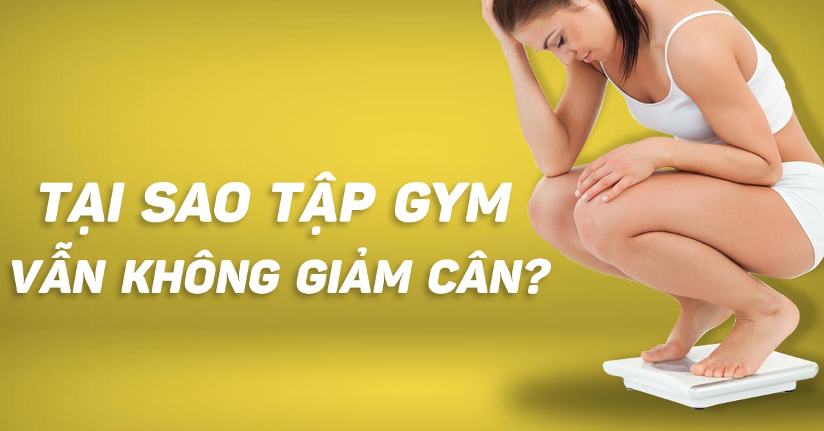 Tại sao tập gym vẫn không giảm cân? Đâu là nguyên nhân của bạn? | Thể hình  nữ | Chia sẻ kiến thức giúp chị em có một cơ thể đẹp