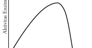 Inilah Faktor yang Mempengaruhi Kerja Enzim