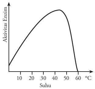 Inilah Faktor Yang Menghipnotis Kerja Enzim