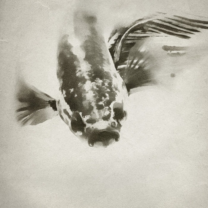 Индонезийский фотограф. Heru Suryoko Индонезийский фотограф. Heru Suryoko