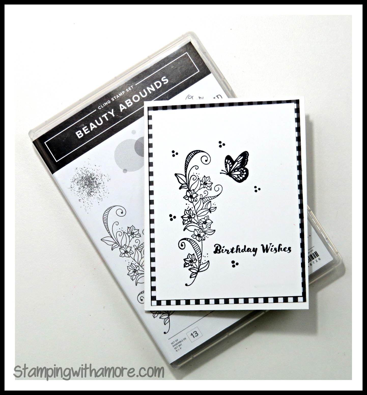 Stampingwithamore FOR THE BEGINNER SERIES STAMPING A BLACK & WHITE CARD