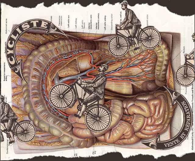 surreal collage featuring bicycles and intestines