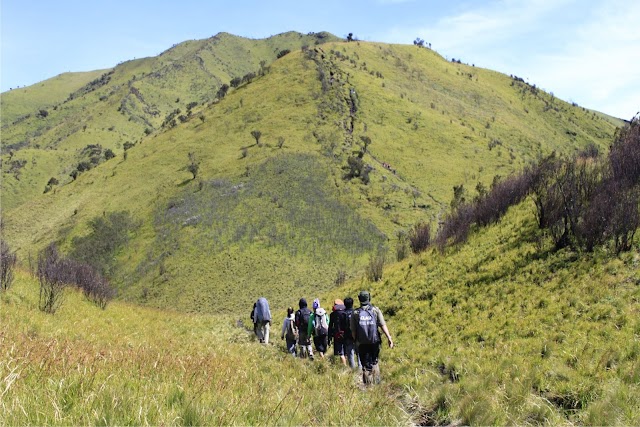 Guide Gunung Merbabu : Jangan Takut Mendaki !!!