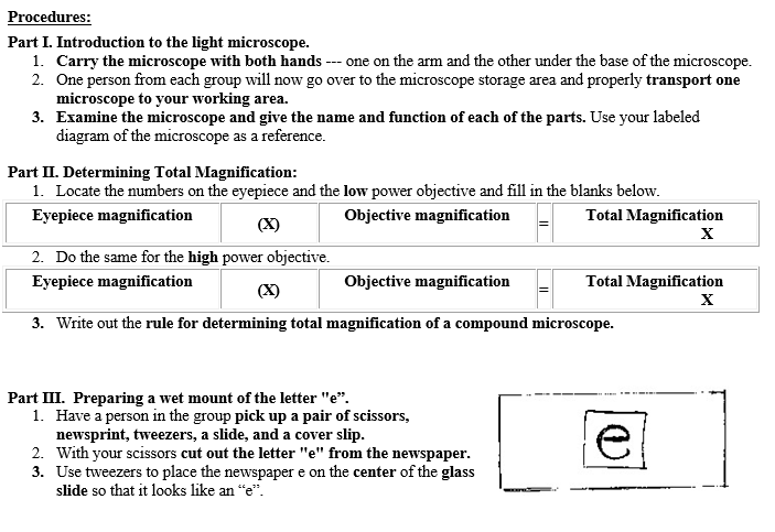 Biology With Salcido Letter e Microscope Lab