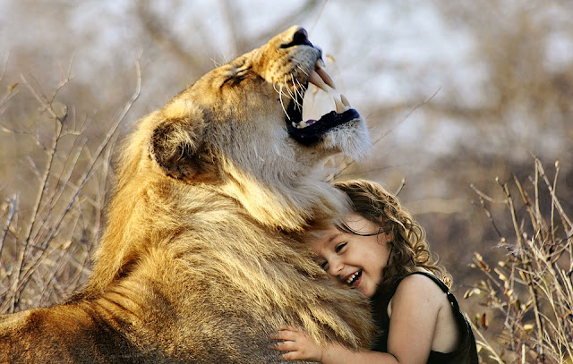 Image: Lion Roar, Sarah Richter on Pixabay