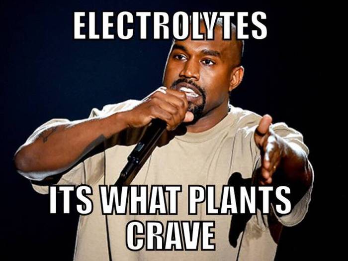 Electrolytes its what plants crave