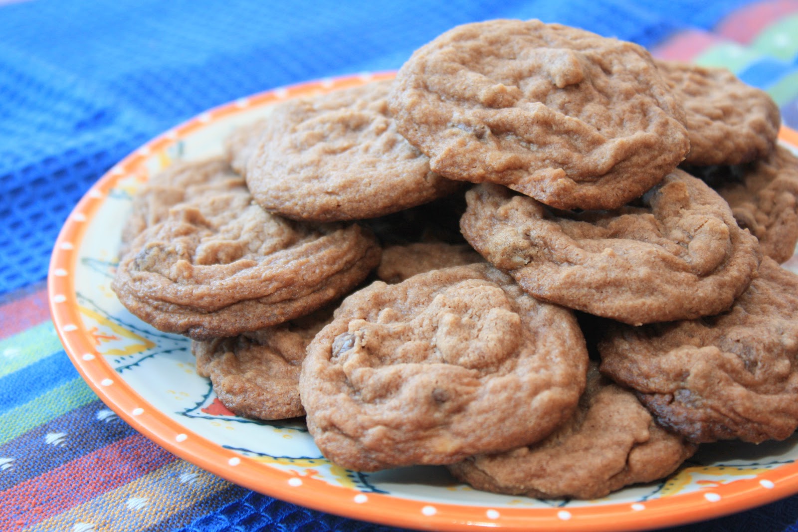 The Bitchin' Kitchin' Chocolate Hazelnut Drop Cookies