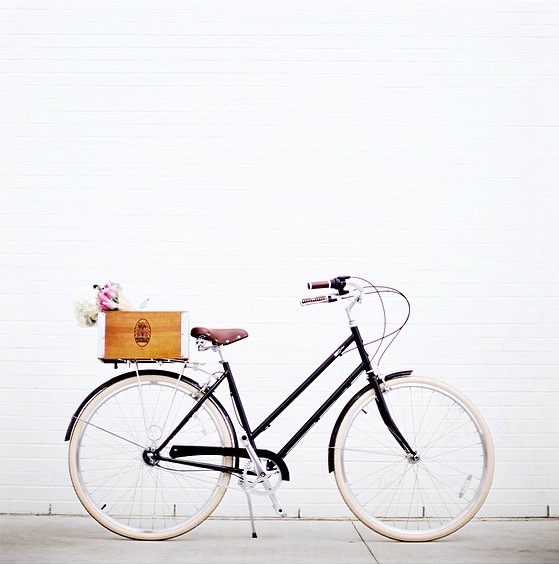 Slowly Pedaling Bck