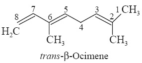trans- β-Ocimene