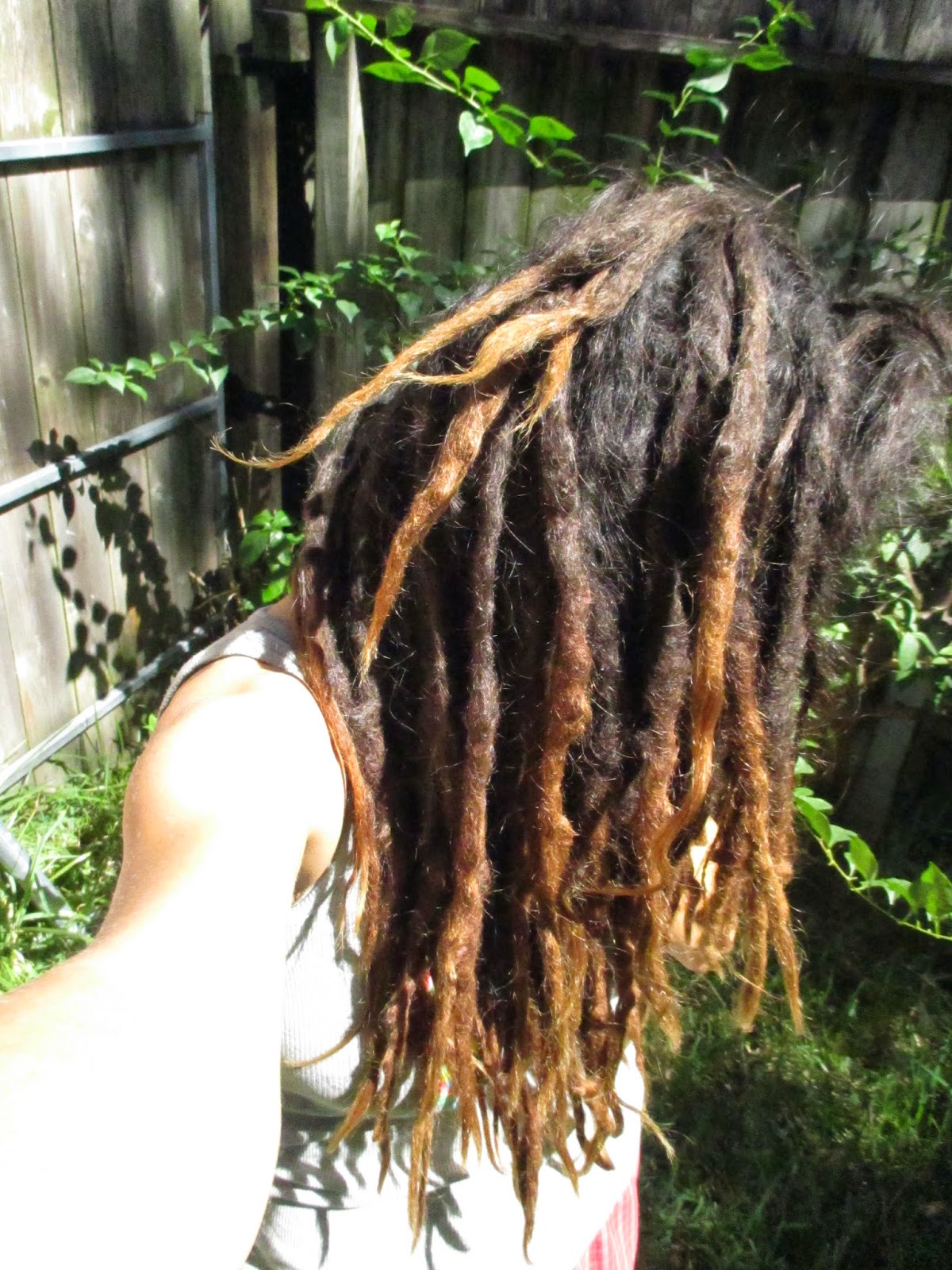 Shade Of Ashes Dreading Journey Two (2) Years with Dreadlocks (PICTURES)