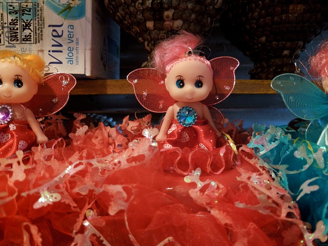 Primo NX4 camera sample 4