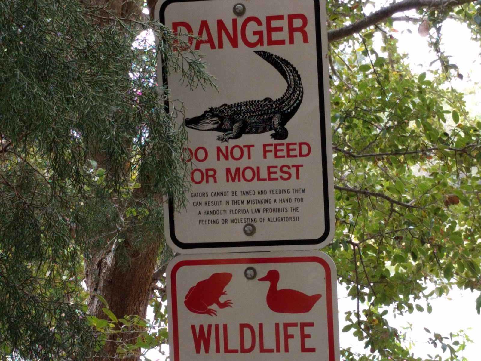 Church and States 6 fun facts about Florida