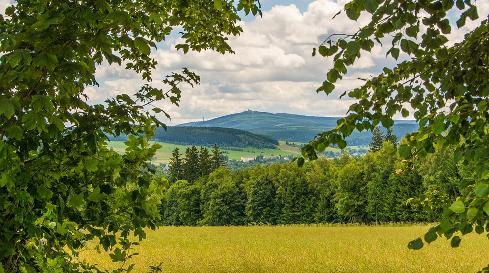 Veroffentlichungen Dr Marietta Franke Mfaboutart