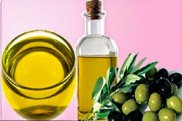 زيت الزيتون للشعر الجاف