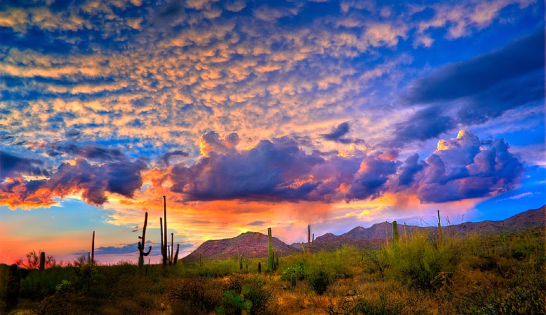 Tucson, Arizona, USA | 10 Places to See Beautiful Sunset Around The World Tucson, Arizona, USA | 10 Places to See Beautiful Sunset Around The World
