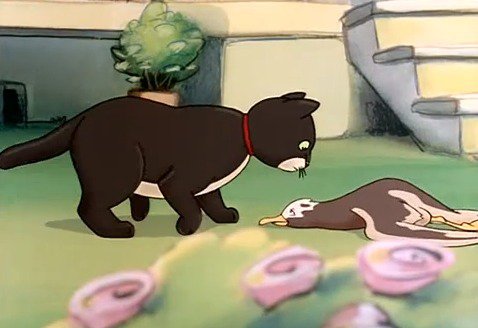 resumen por capítulos de historia de una gaviota y el gato
