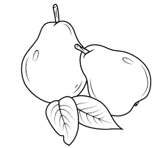Pear coloring page 4