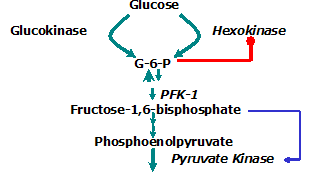 Quiz On Enzyme Inhibition | Biochemistry Quiz Quiz On Enzyme Inhibition | Biochemistry Quiz