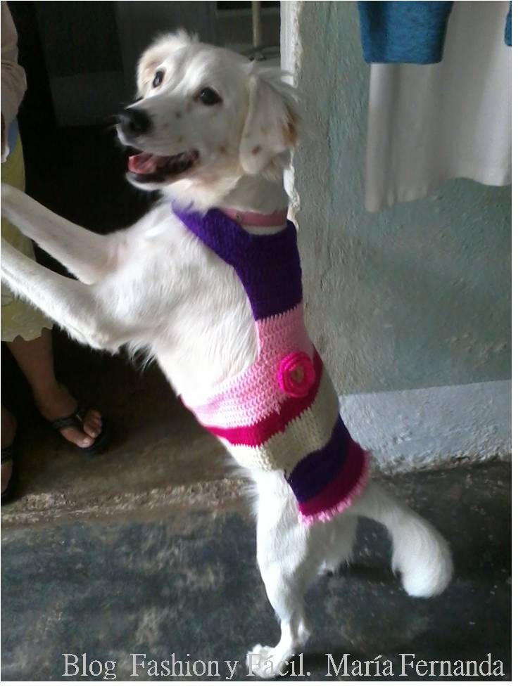 Fashion y Fácil DIY: ¿Cómo tejer para perros a ganchillo paso a PAP para tejer vestidos perritas. (How to make crocheted dog dresses?, Dtep by step to crochet dog