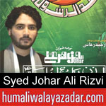 https://www.humaliwalyazadar.com/2018/09/syed-johar-ali-rizvi-nohay-2019.html