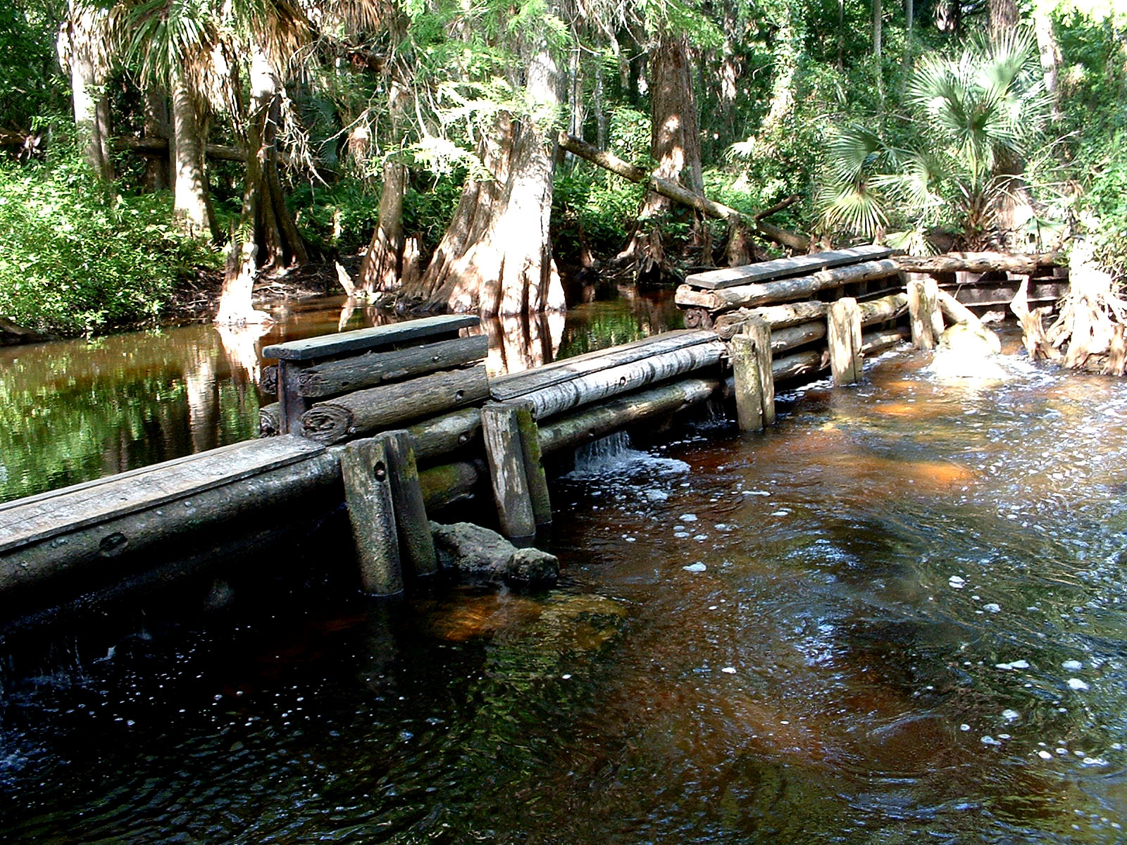 South Florida Guy Loxahatchee River Jupiter