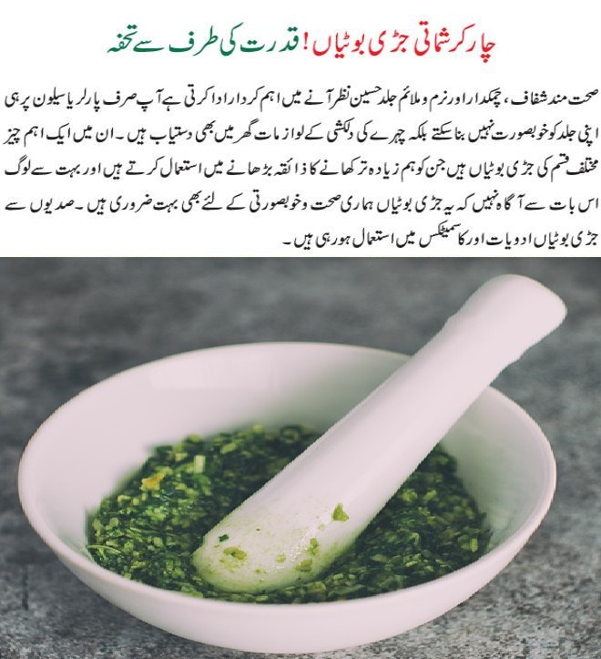 4 Amazing Herbs and Their Benefits in Urdu Jari Booti