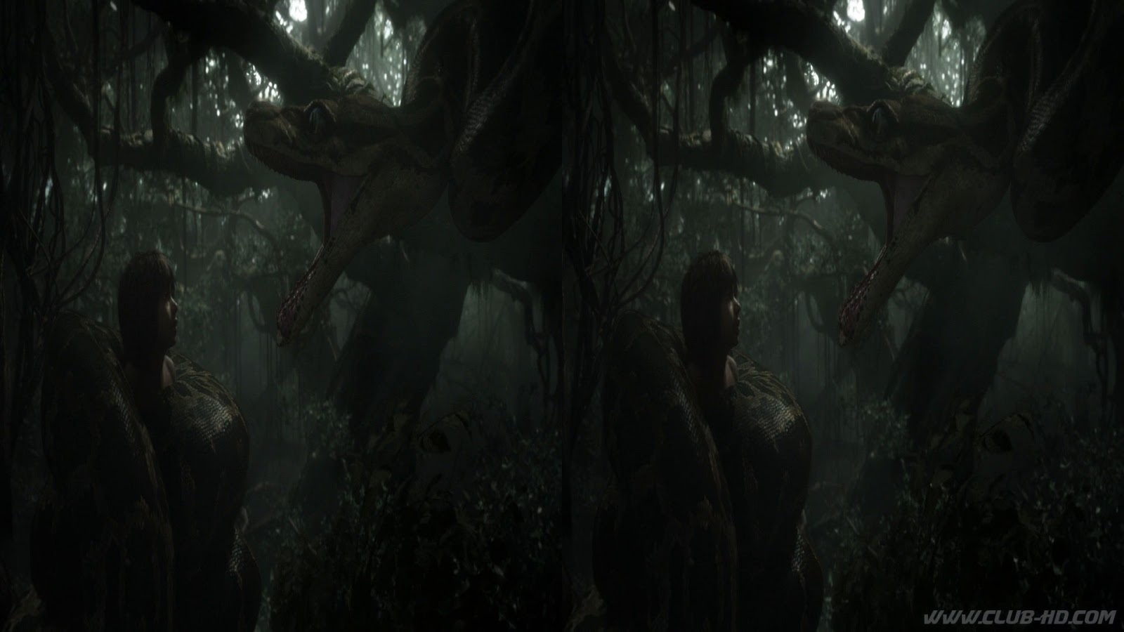 tjb3d2.jpg