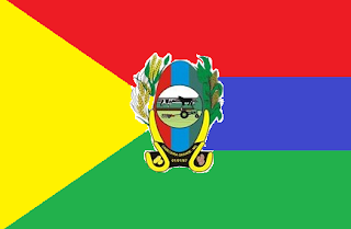Resultado de imagem para bandeira de carmésia mg