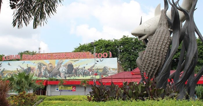 Kebun Binatang Surabaya Terbesar Di Asia - MANISA TRAVEL ...