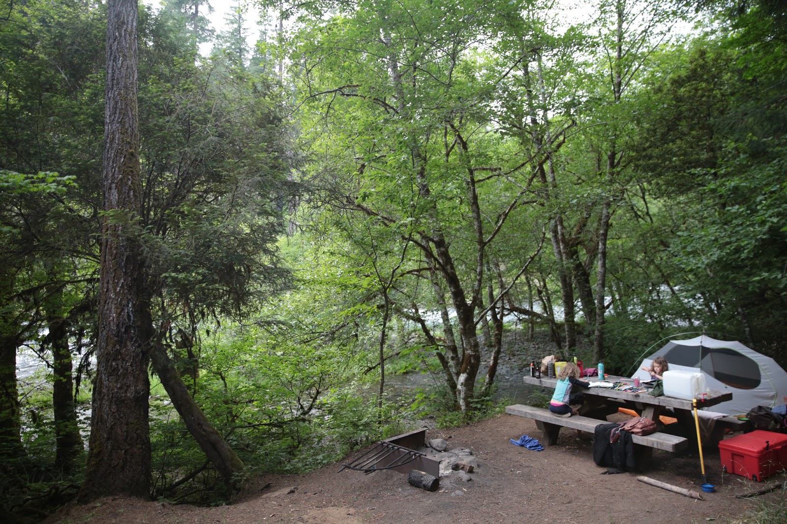 Hawks and honey Camping in Oregon. {West Coast Road Trip 2.0}