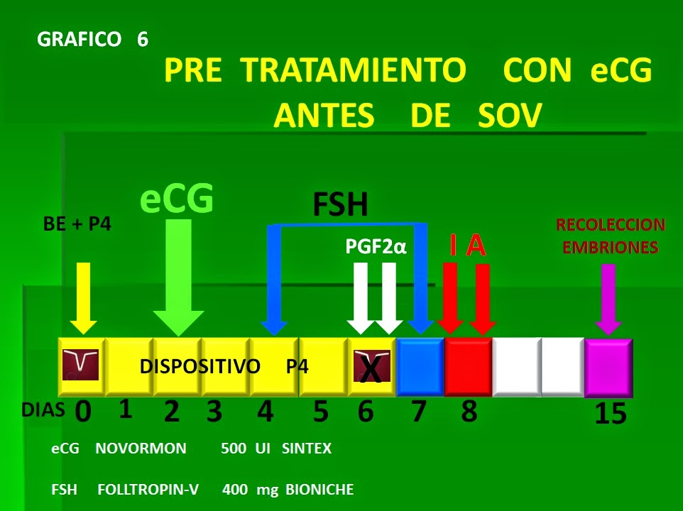 MANUAL DE BIOTECNOLOGIA REPRODUCTIVA EN BOVINOS: TRASFERENCIA DE EMBRIONES