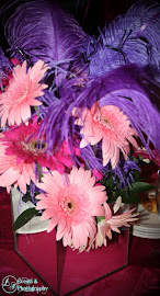 Flowers & Feathers