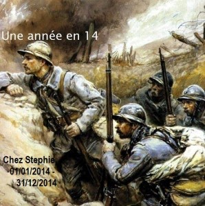 Une année en 14 (31.12.2014)