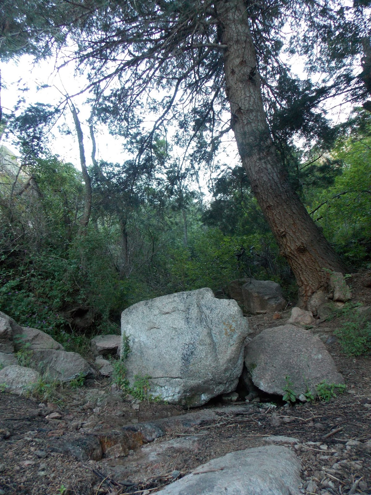 Get Outside, Albuquerque: Hiking Up Into Big Rock Country On La Luz