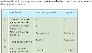 perbedaan spermatogenesis dan oogenesis dalam tabel,tabel perbedaan spermatogenesis dan oogenesis,perbedaan spermatogenesis dan oogenesis dalam bentuk tabel,