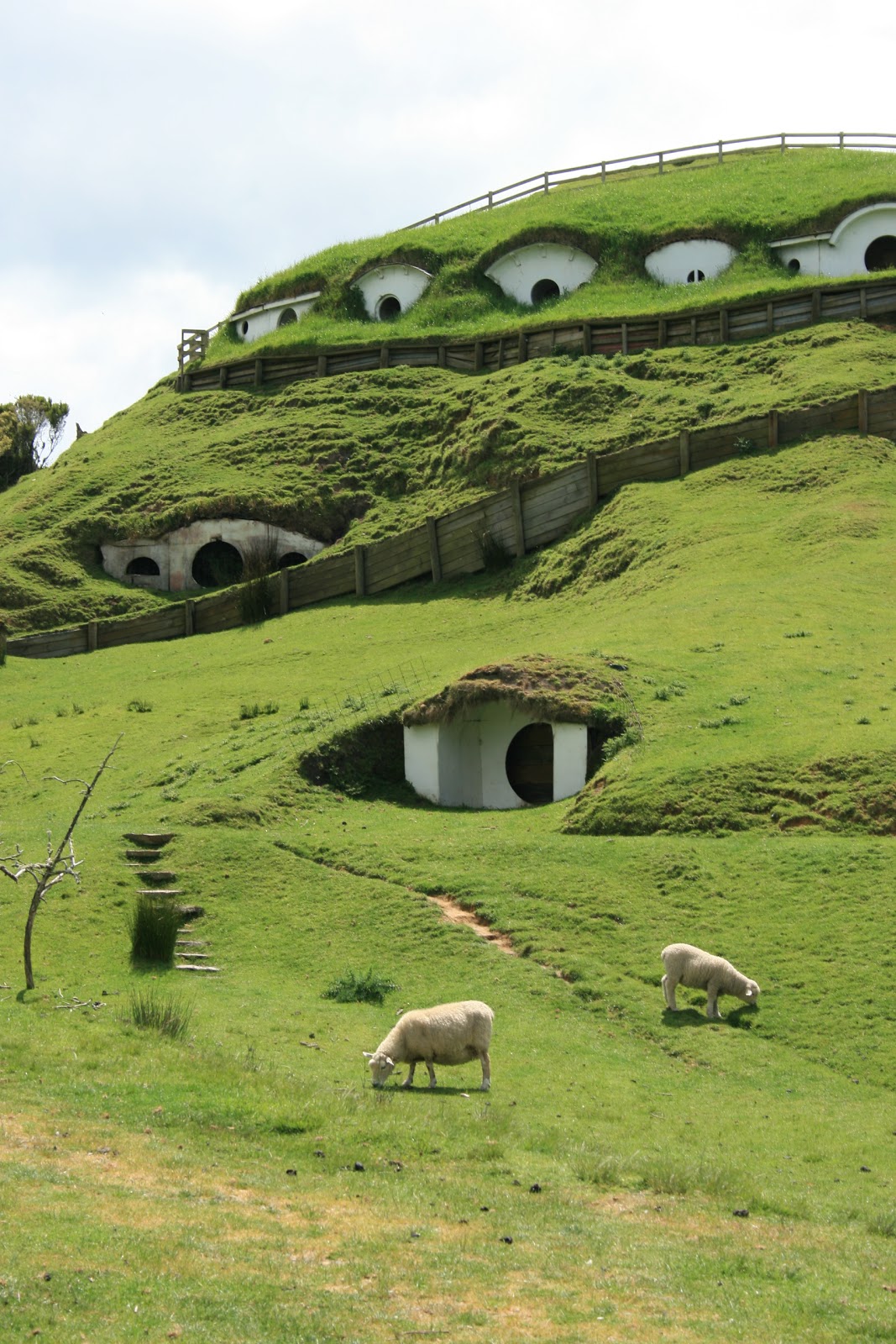 Hobbit Houses in Matamata, New Zealand. World Travel