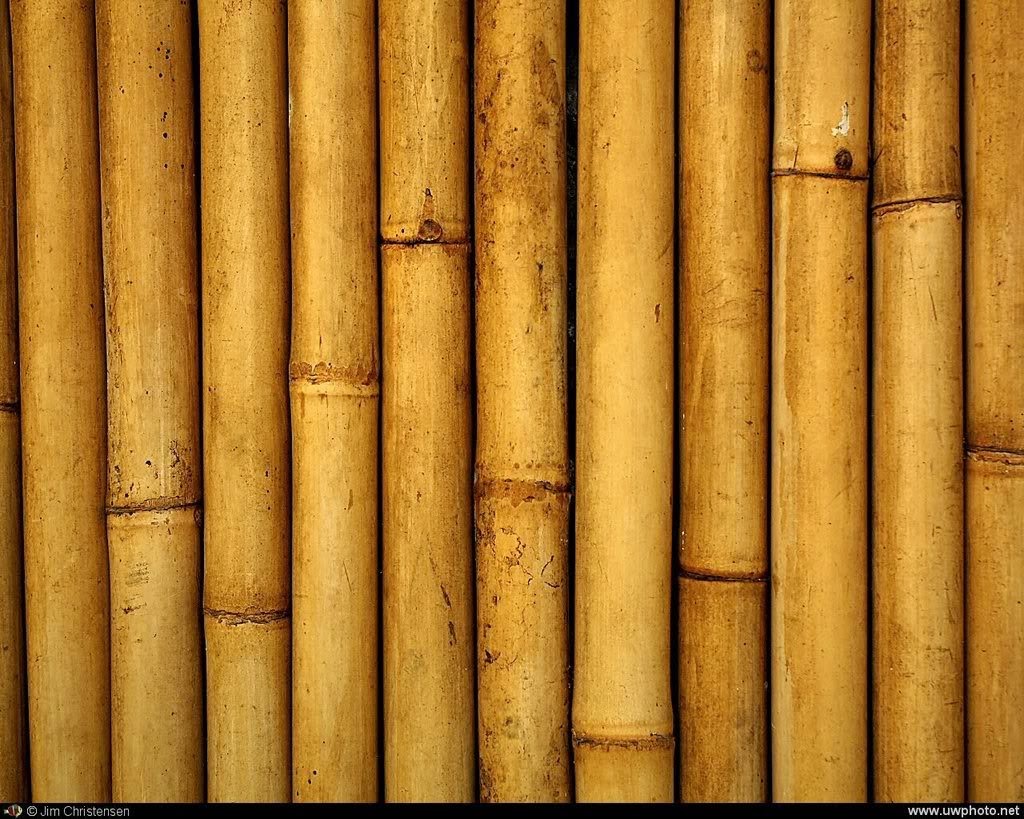 Material Bambu Yang Serbaguna iHARGAi iBAHANi iBANGUNANi 2019
