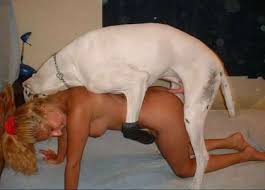 سكس حيوانات بنات هايجة تمص وتتناك من الحيوانات