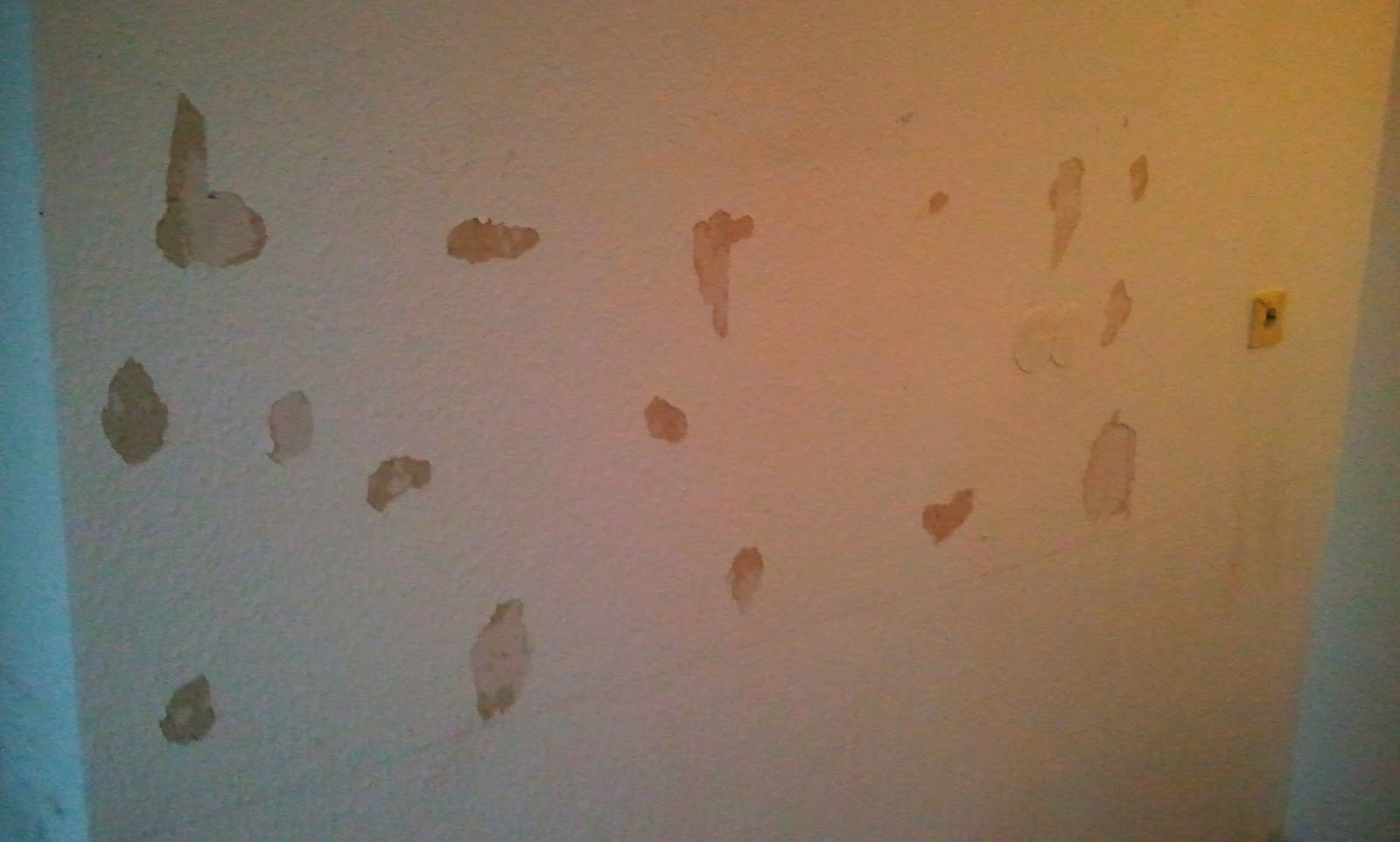 Manuela Sonntag Marz 2012