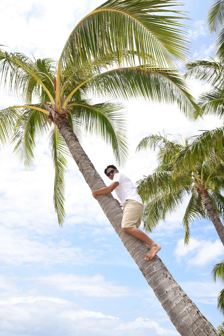 Oahu Photos Tree Climbing in Kahala