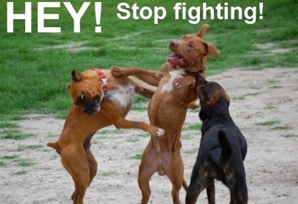 Hey_Stop_Fighting.jpg