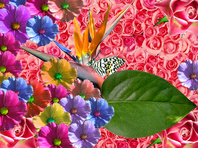 art painting institue colour beautiful flower HD wallpaper