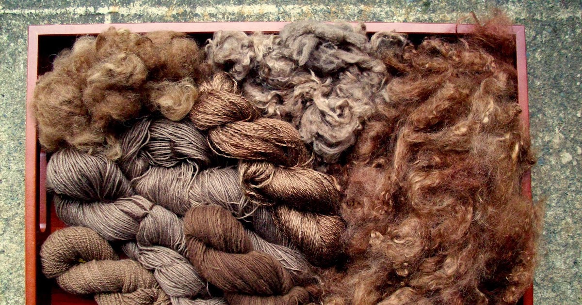 Black Walnut Season  Natural Dye: Experiments and Results