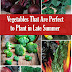 Vegetables To Plant In Late Summer