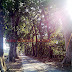 Spot Foto Menarik di Jalan Daendels