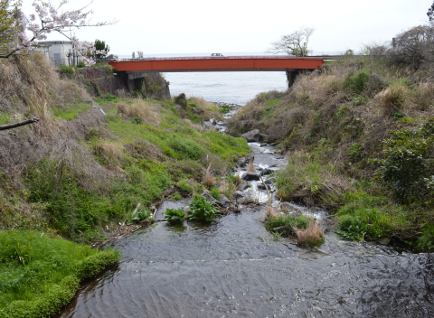 阿賀野川橋梁 (白新線)