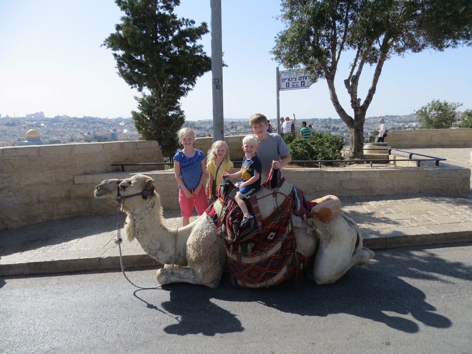 The Christensen Six: Rockefeller Museum, Garden of Gethsemane, & Camel ...