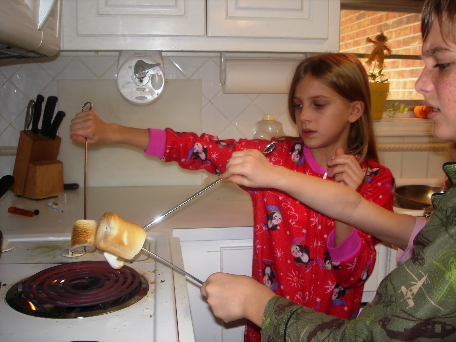 Half Dozen Roses Roasting marshmallows in the kitchen!